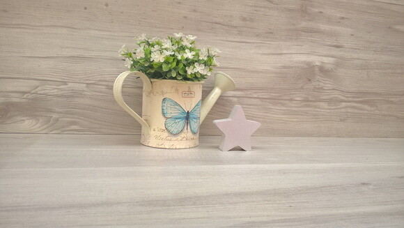 Miniatura Estrela