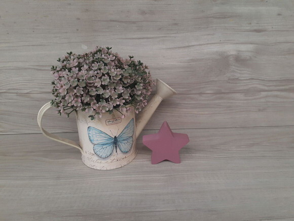 Miniatura Estrela