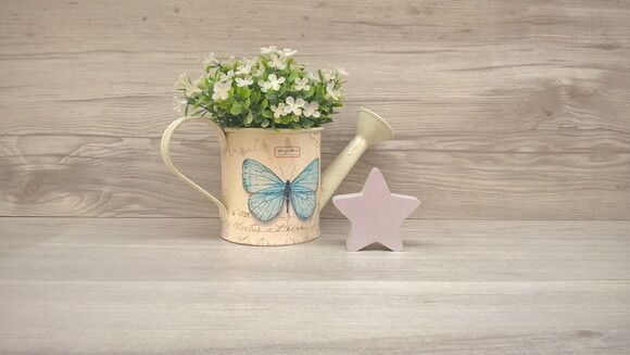 Miniatura Estrela