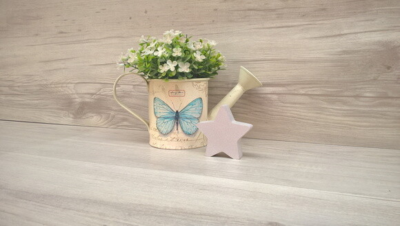 Miniatura Estrela