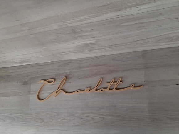 Nome de Parede Personalizado em mdf Linha Ty- Charlotte 13cm