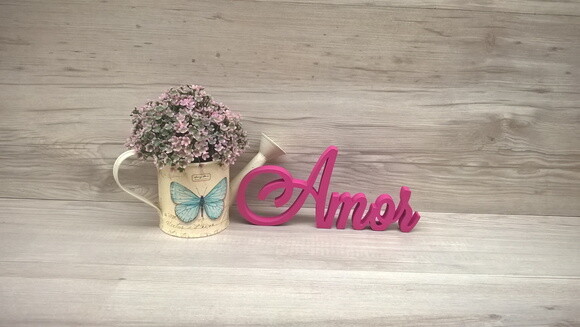 Palavra Decorativa Amor Mod. LS