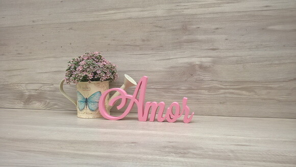 Palavra Decorativa Amor Mod. LS