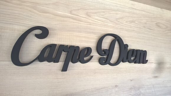Palavra Decorativa de Parede Carpe Diem