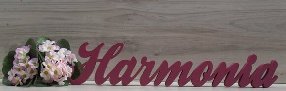 Palavra Decorativa Harmonia Linha Cl