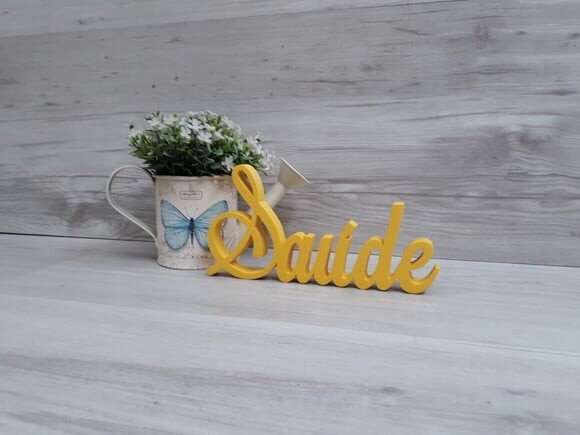 Palavra Decorativa Saúde Mod LS