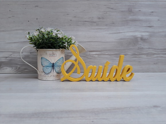 Palavra Decorativa Saúde Mod LS