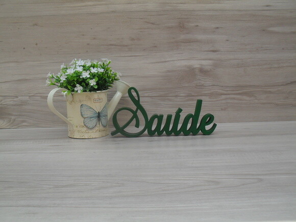 Palavra Decorativa Saúde Mod LS
