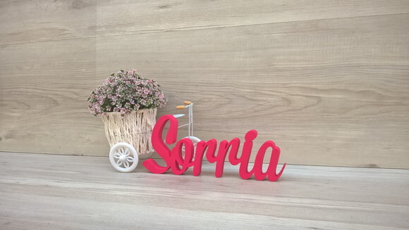 Palavra decorativa Sorria Mod MS