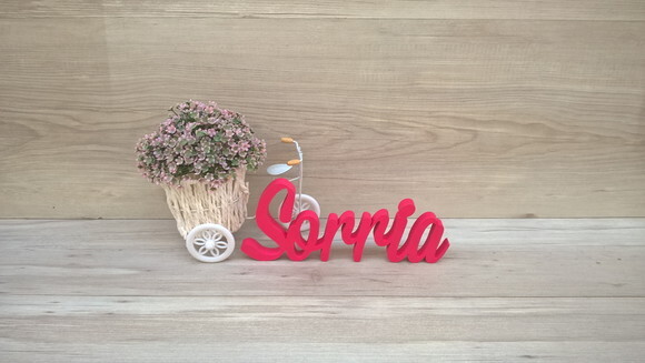 Palavra decorativa Sorria Mod MS