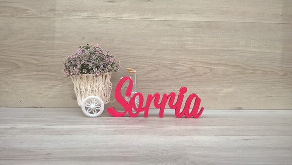 Palavra decorativa Sorria Mod MS