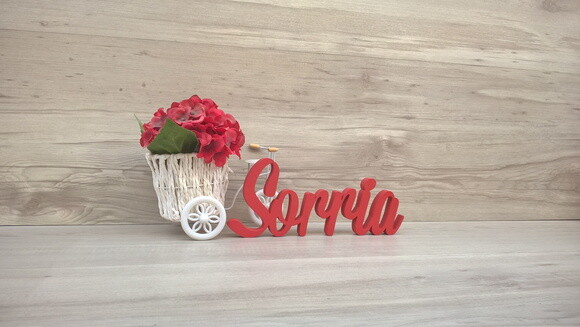 Palavra decorativa Sorria Mod MS