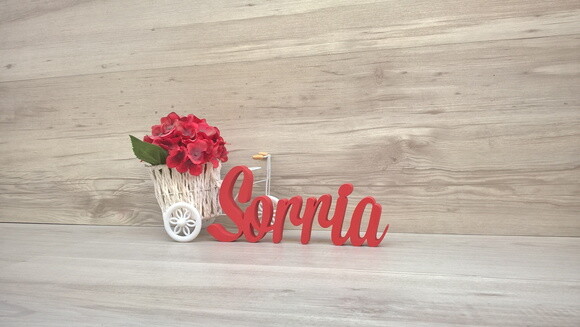 Palavra decorativa Sorria Mod MS