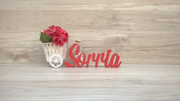 Palavra decorativa Sorria Mod MS