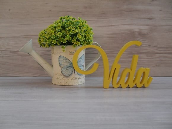 Palavra decorativa Vida Mod LS