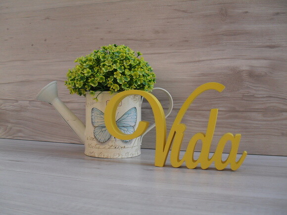 Palavra decorativa Vida Mod LS
