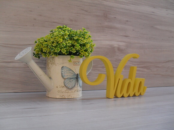 Palavra decorativa Vida Mod LS