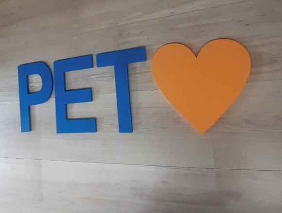 Pet + Coração - Palavra Em Mdf Para Parede - 30 Cm