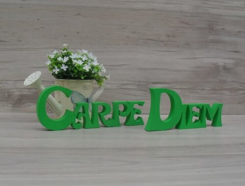 Carpe Diem - Letras Decorativas