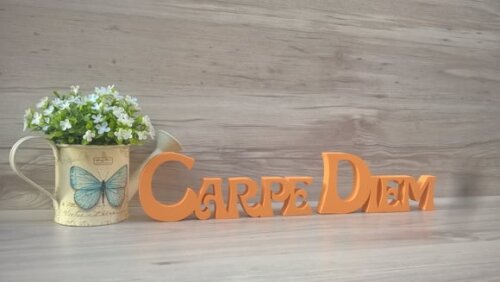 Carpe Diem - Letras Decorativas