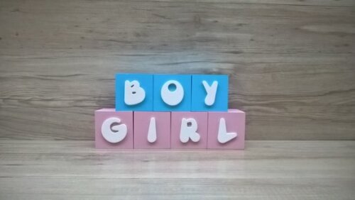 Cubos Chá de Revelação Boy Girl 6cm