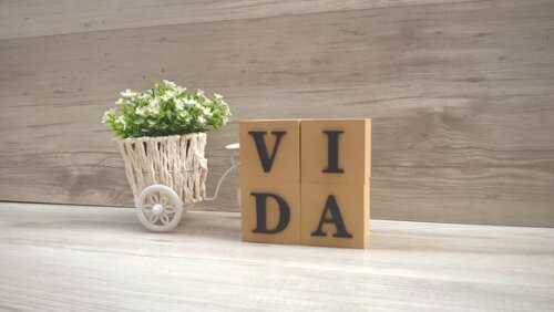 Cubos Decorativos VIDA