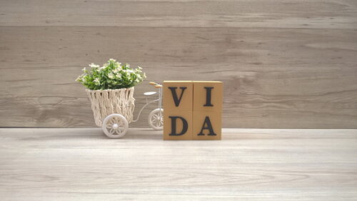 Cubos Decorativos VIDA