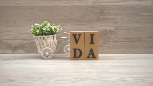 Cubos Decorativos VIDA