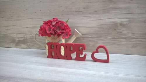 Duo Palavra HOPE - linha BK + miniatura