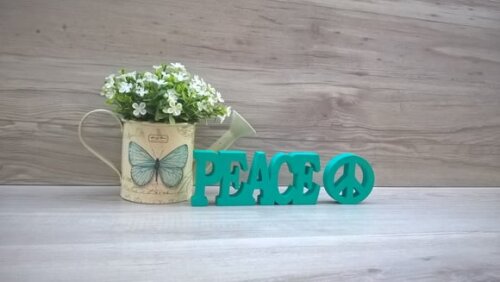 Duo Palavra PEACE - linha BK + miniatura
