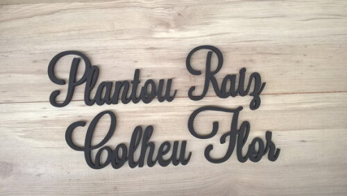 Frase de Parede Plantou Raiz Colheu Flor - linha LS