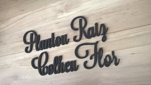 Frase de Parede Plantou Raiz Colheu Flor - linha LS