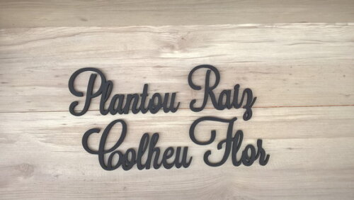 Frase de Parede Plantou Raiz Colheu Flor - linha LS