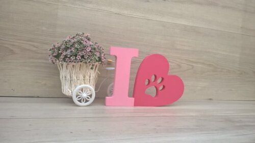 I Love PET