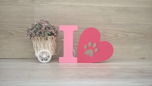 I Love PET