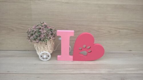 I Love PET