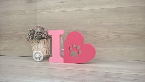I Love PET