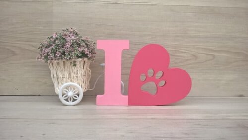 I Love PET