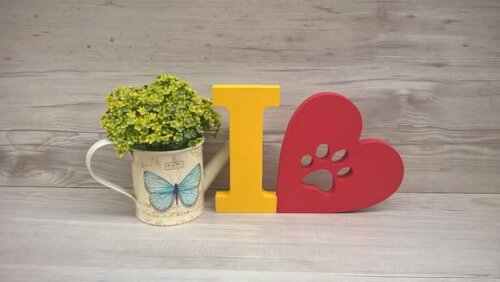 I Love PET