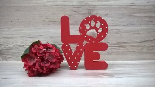 Love Pet