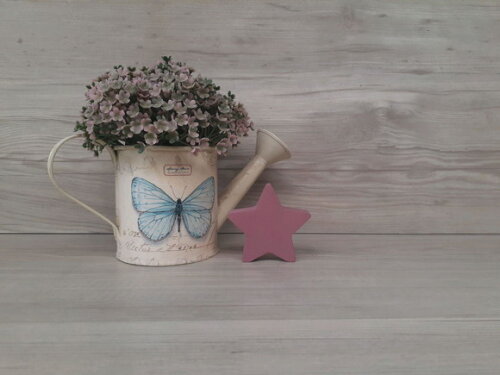 Miniatura Estrela