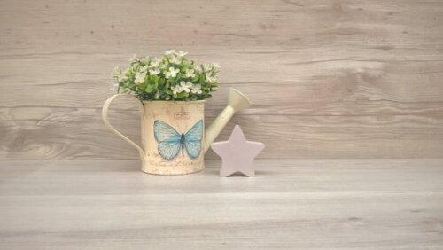 Miniatura Estrela