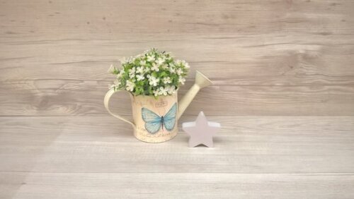 Miniatura Estrela
