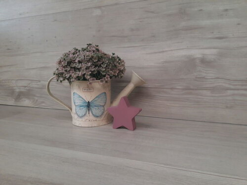 Miniatura Estrela