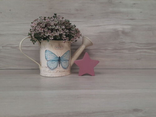 Miniatura Estrela