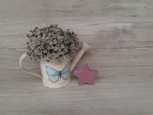 Miniatura Estrela