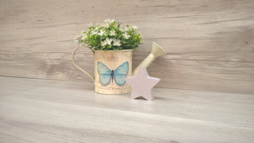 Miniatura Estrela