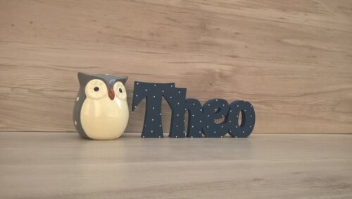 Nome de Mesa em mdf - Linha Sr com Poá - Theo 15 cm