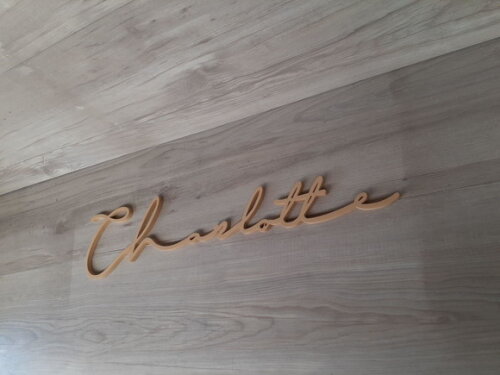 Nome de Parede Personalizado em mdf Linha Ty- Charlotte 13cm