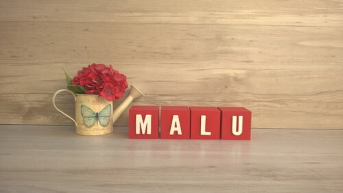 Nomes em Cubos - Mod. Youtube - 6 x 6 x 6 cm - 4 Letras